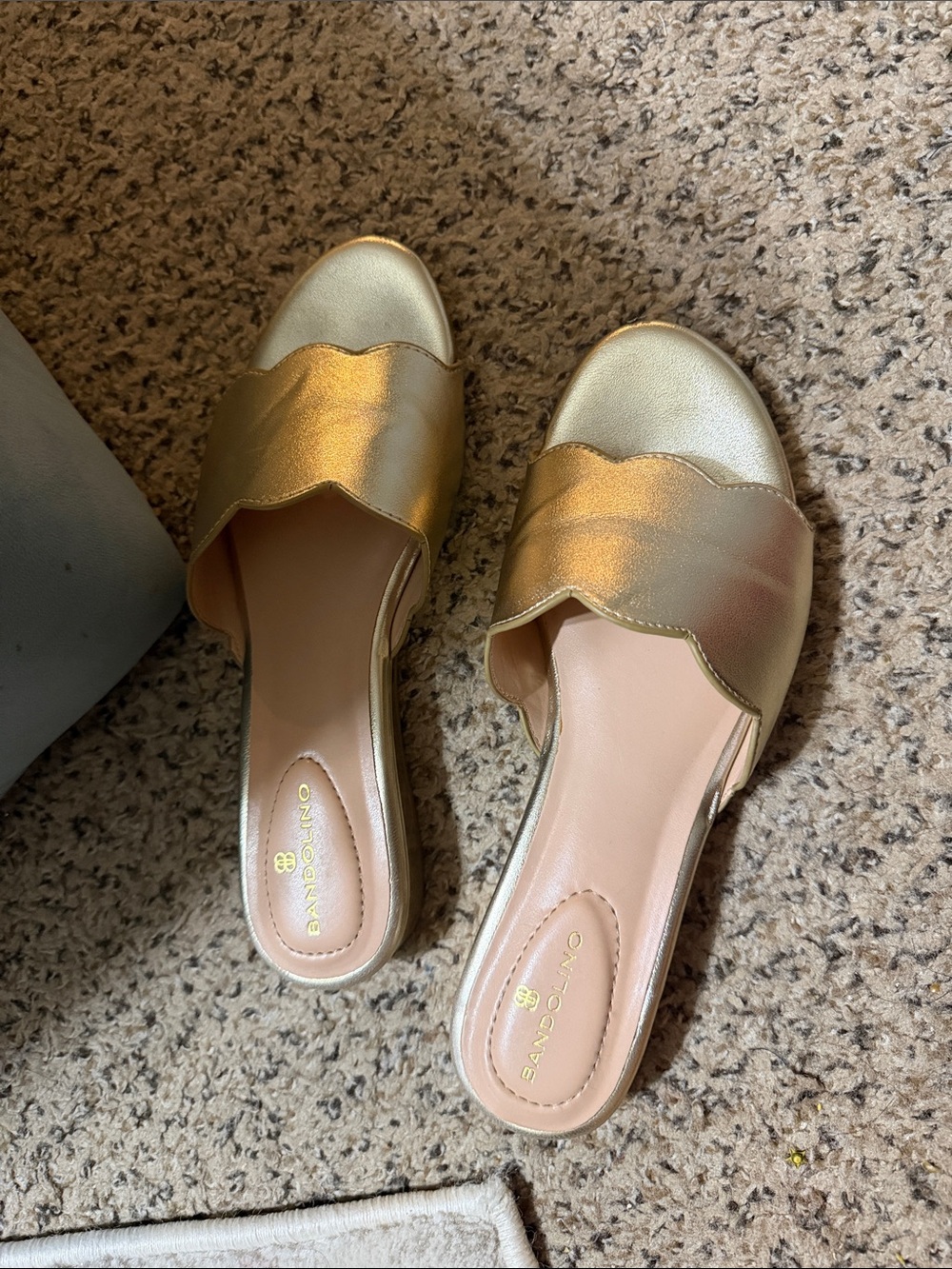 Metallic Gold Scalloped Slide Mules - Women